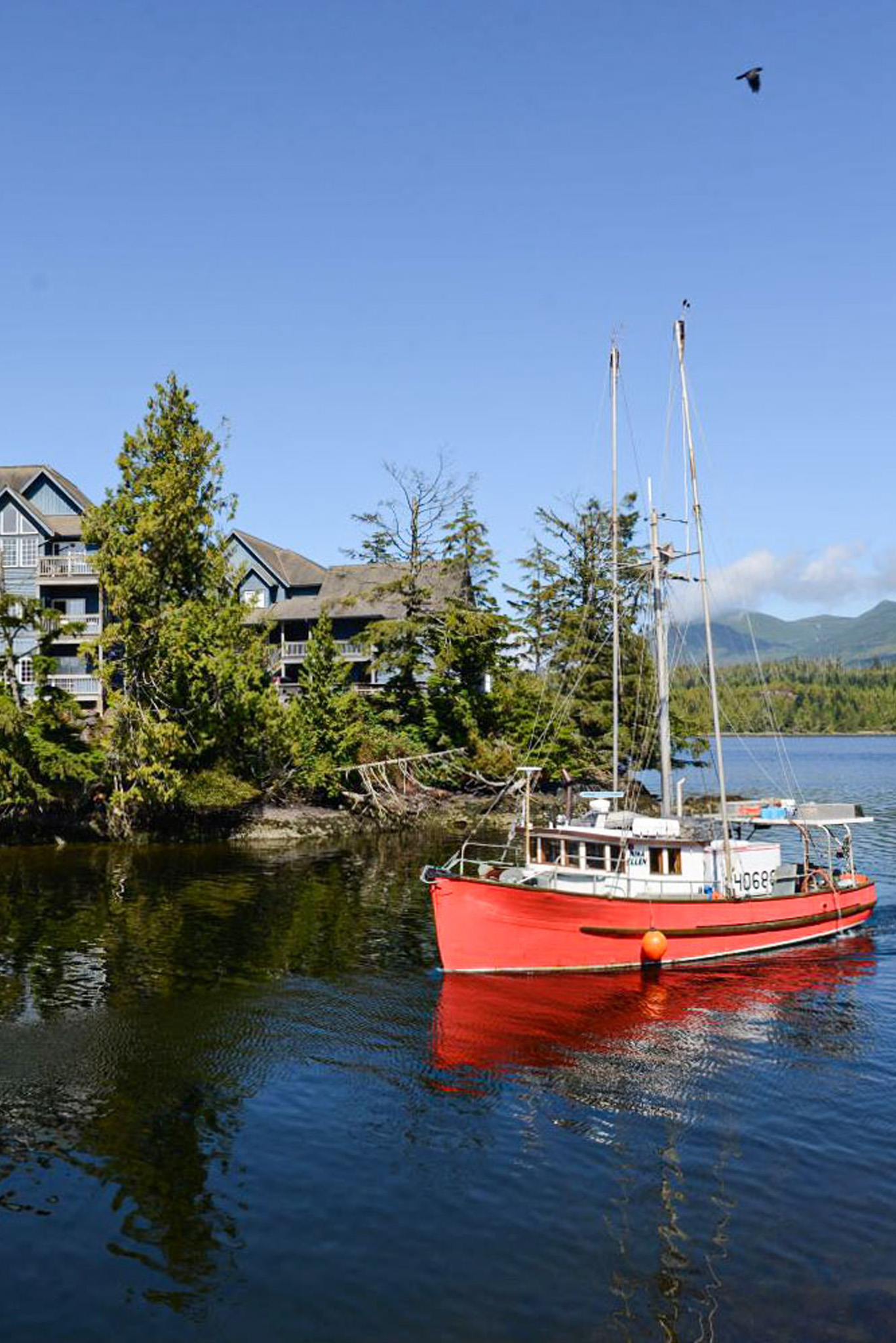 Tipps für einen Urlaub auf Vancouver Island