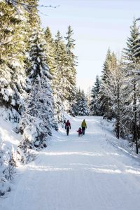 Winterausflug in der Nähe von München