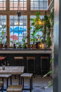 The Greens Berlin – Plants and Coffee