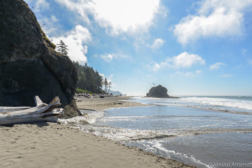 Forks Tipps für den TwilightOrt in Washington